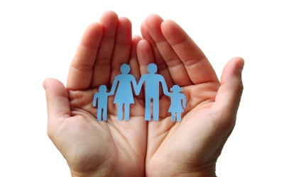 Social Assistance Activity